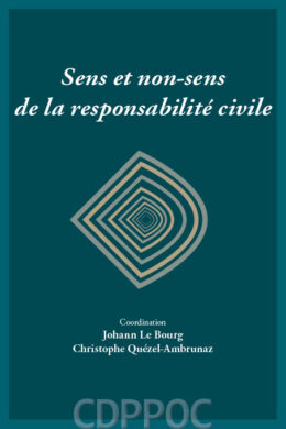 Sens et non-sens de la responsabilité civile
